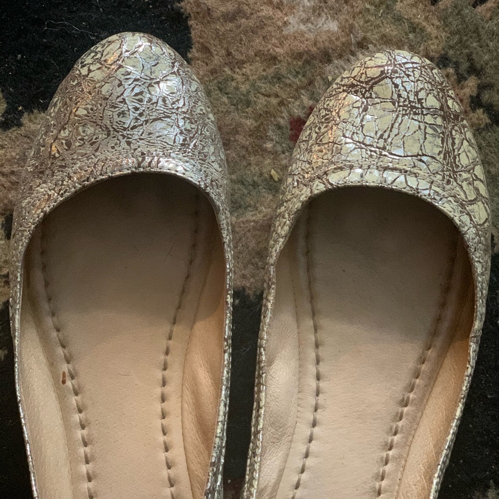 Frye flats